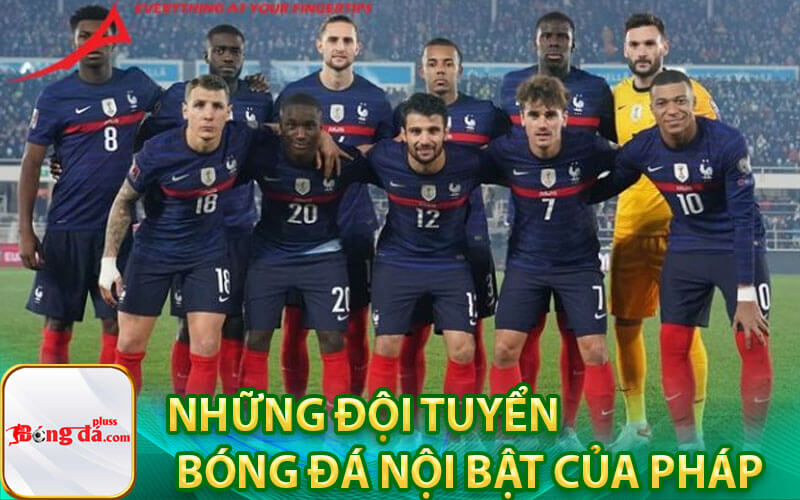 Những đội tuyển bóng đá nội bật của Pháp