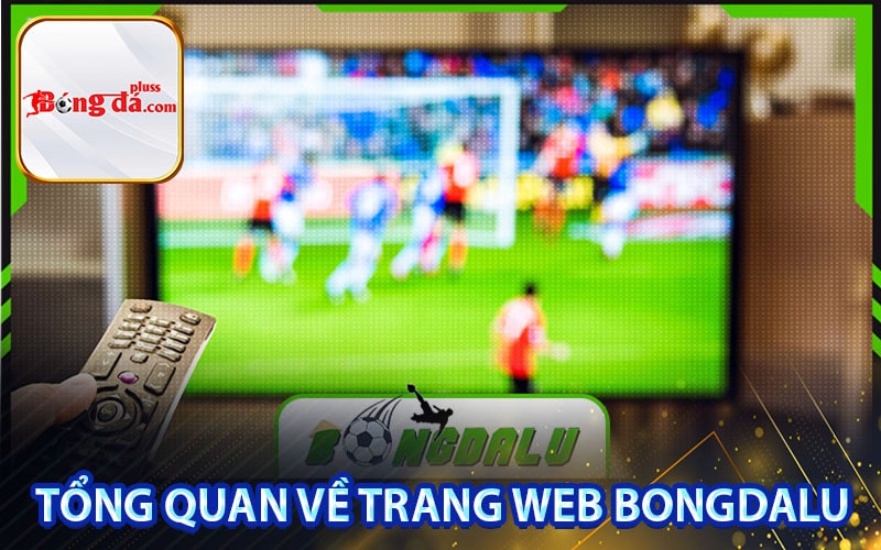 Tổng quan về trang web bongdalu