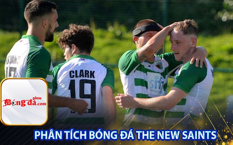 Phân tích bóng đá The New Saints