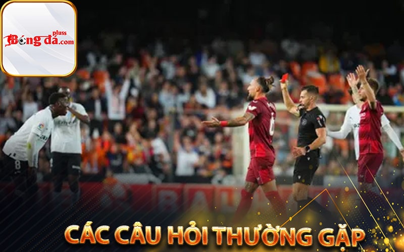 Các câu hỏi thường gặp