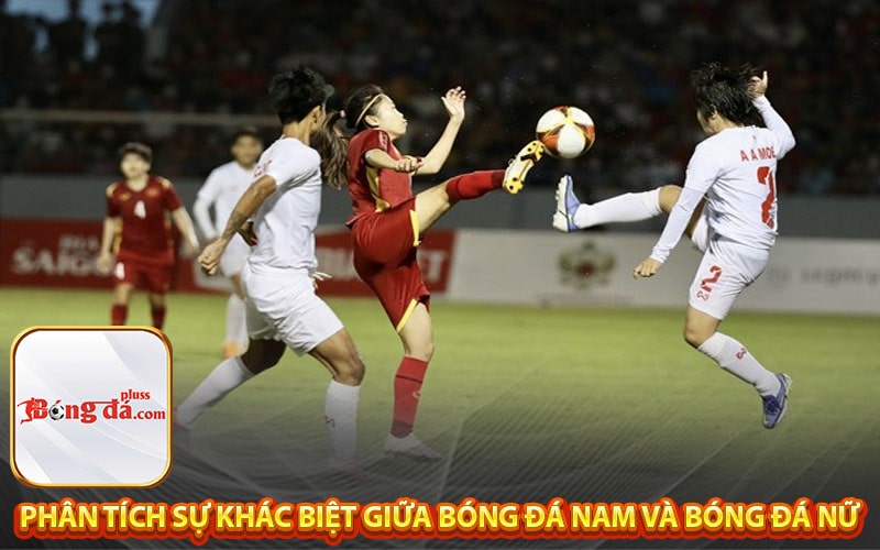 Phân tích sự khác biệt giữa bóng đá nam và bóng đá nữ