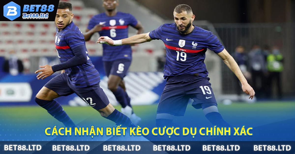 Cách nhận biết kèo cược dụ chính xác