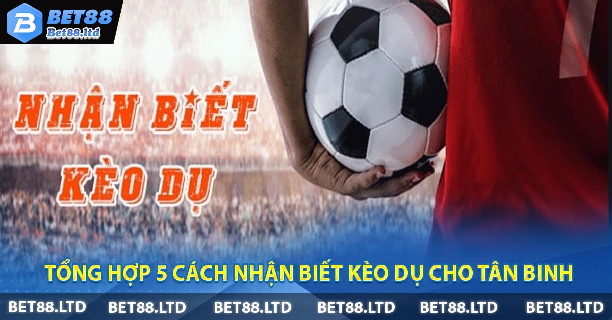 Tổng Hợp 5 Cách Nhận Biết Kèo Dụ Cho Tân Binh